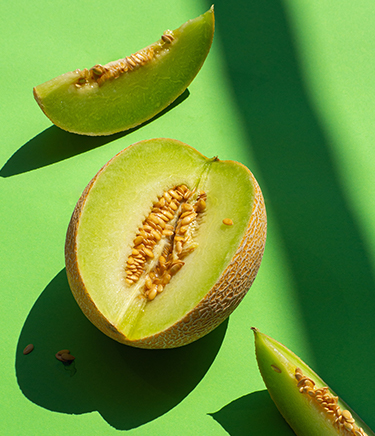 Galería - Cítricos Monteagudo