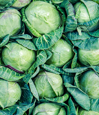 Galería - Cítricos Monteagudo