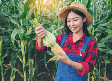 Acerca de - Cítricos Monteagudo