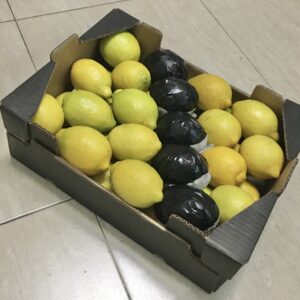Limones Fino - Caja 8 KG