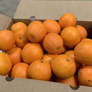 Naranja Navelina Caja Monteagudo S Coop