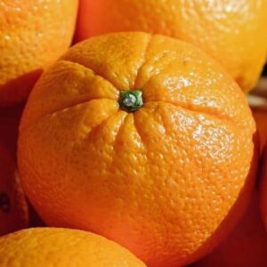 Naranjas Salustiana - Malla 3 KG