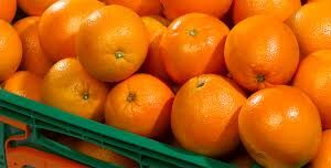 Naranjas Lane Late - Caja 5 KG